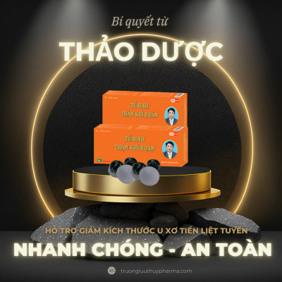 Tế Sinh Thận Khí Hoàn